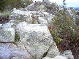 j1.jpg