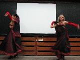 IMG_2592.JPG