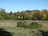 IMG_2250.JPG
