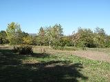 IMG_2251.JPG