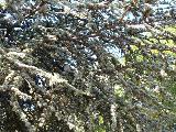 IMG_2253.JPG