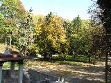 IMG_2256.JPG