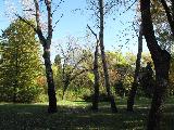 IMG_2262.JPG