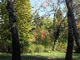 IMG_2263.JPG