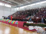 IMG_0295.JPG